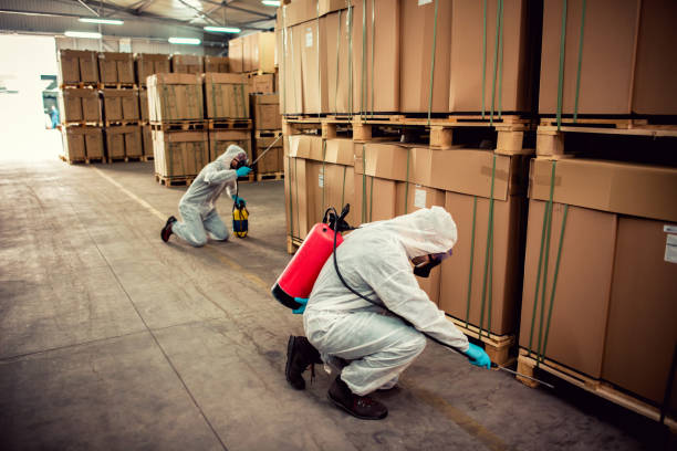 Best Pest Inspection Near Me  in Homer, GA