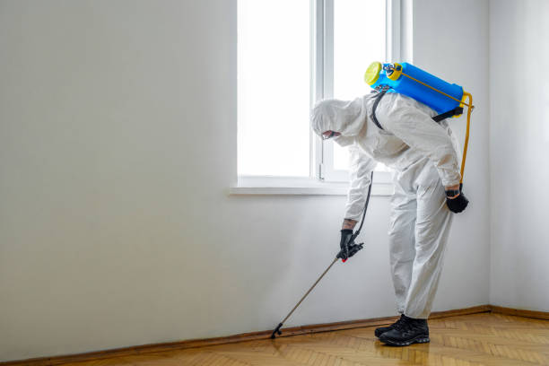 Best Pest Control for Homes  in Homer, GA