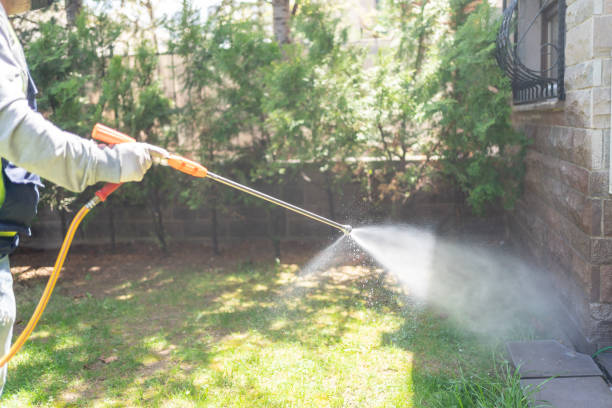 Best Flea Control Services  in Homer, GA