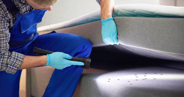 Best Cockroach Control Services  in Homer, GA