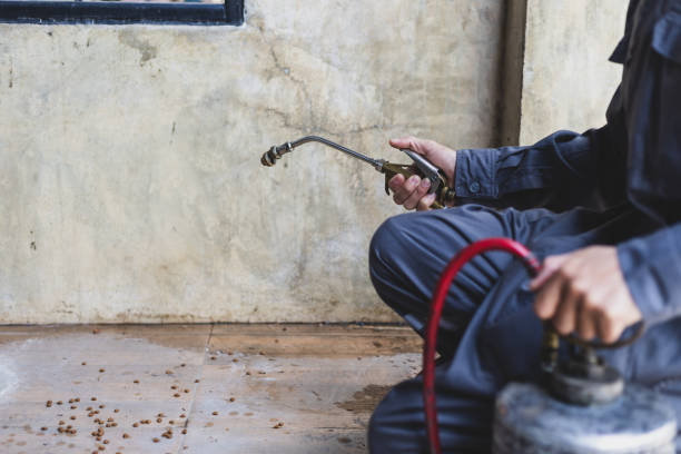 Best Termite Control Services  in Homer, GA