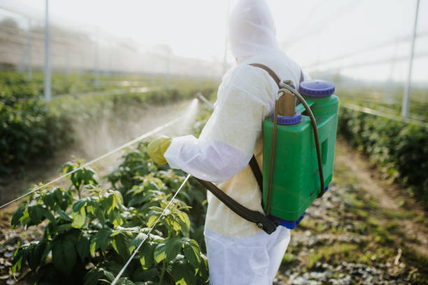 Best Bed Bug Extermination  in Homer, GA
